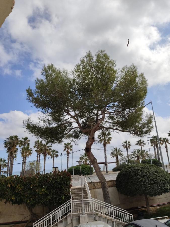 טראגונה Apartamento Mare Nostrum Playa Arrabassada מראה חיצוני תמונה